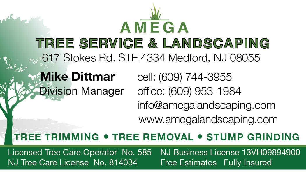 Amega_Trees and landscaping AD Opens in new window